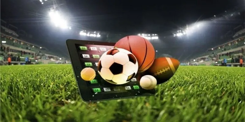 Cá cược thể thao 58WIN là hình thức được yêu thích Cá cược thể thao 58WIN là hình thức được yêu thích